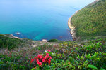 DSC02651_1