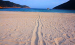 DSC02670_1