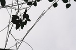 F1010021_16