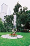 F1160029_39