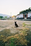 F1000024_22