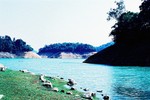 F1030027_2