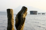 IMG_3650_1