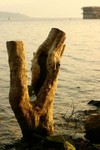 IMG_3651_2