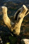 IMG_3654_3