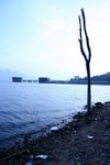 IMG_3661_5