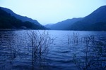 IMG_3698_9
