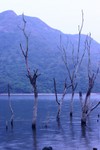 IMG_3703_10