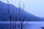 IMG_3707_11