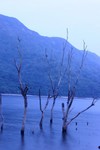IMG_3711_12
