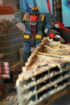 DSC00142_1