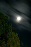 DSC_0042.0