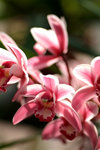 DSCF0065