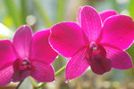 DSCF0071