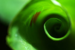 DSCF0202