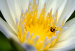DSCF0908_1.0