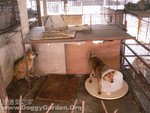 20060226_013