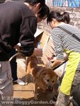 20060226_014
