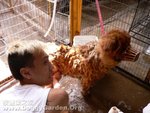 20060226_021