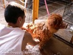 20060226_022