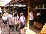 20060226_030