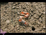 IMG_9602