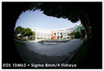 EOS 1DMk2, Sigma 8mm. 
