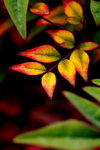 L01_3226