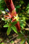 DSCF1238