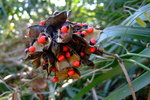 DSCF1242
