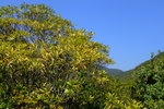 DSCF1243