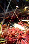 DSCF1245