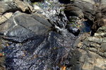 DSCF1275