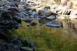 DSCF1289