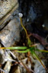 DSCF1294