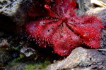 DSCF1298