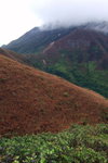 DSCF0563