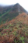 DSCF0584