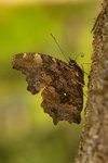 L01_7102-1