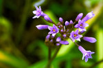 L01_3173-1