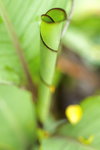 L01_8812