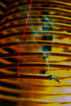 L01_7810