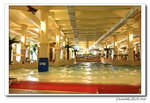 IMG_3380