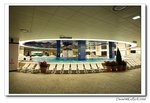 IMG_3391