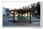 IMG_3392