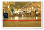 IMG_3401