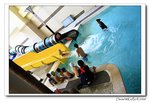 IMG_3412