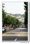 IMG_3557