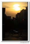 IMG_3619
