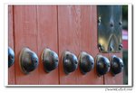IMG_4050